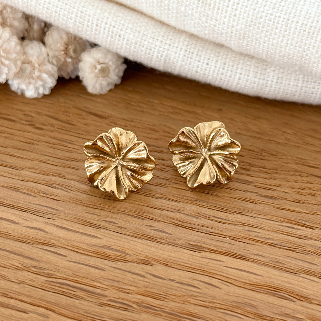 Boucles d'oreilles "Rosalia" acier