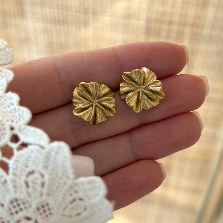 Boucles d'oreilles "Rosalia" acier