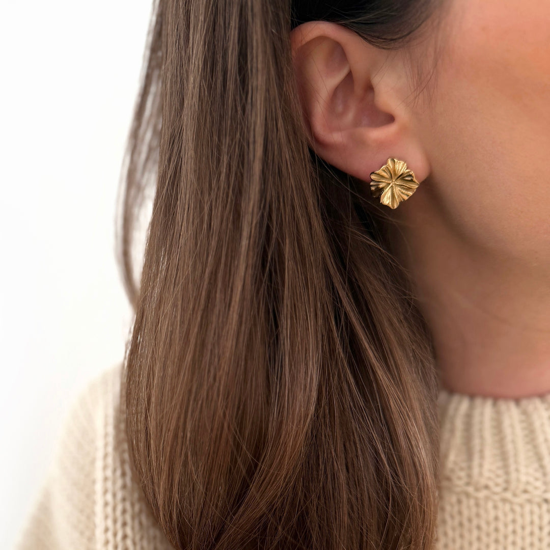 Boucles d'oreilles "Rosalia" acier