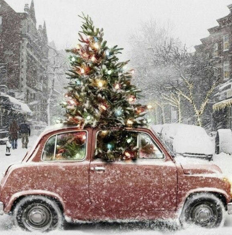 Congés de Noël pour l'équipe Instants Plaisirs, un peu de repos mérité après ces mois de folie !