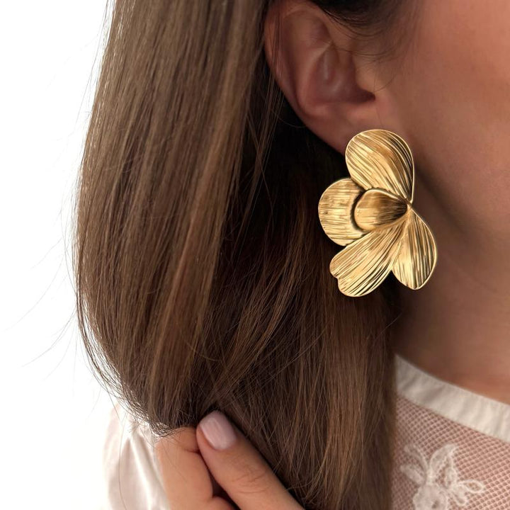 Pendientes «Felixa» acero