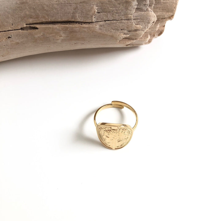 Anillo «Pièce» de acero instants-plaisirs 