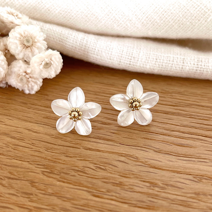 Boucles d'oreilles "Flolly" acier