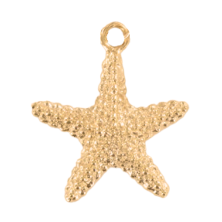Charms plaqué or