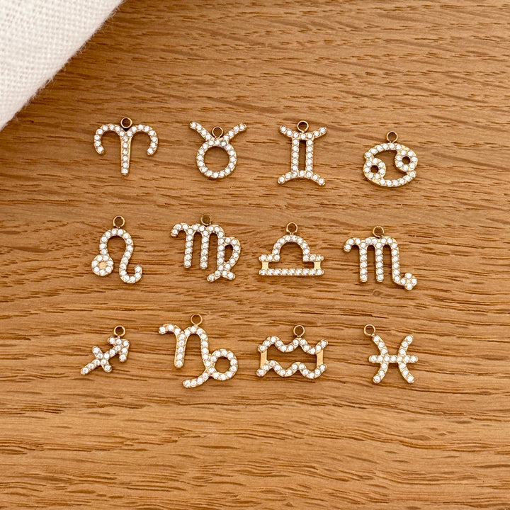 Charms "Signes astrologiques" acier