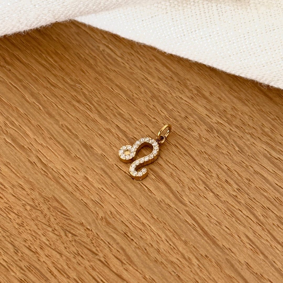 Charms "Signes astrologiques" acier