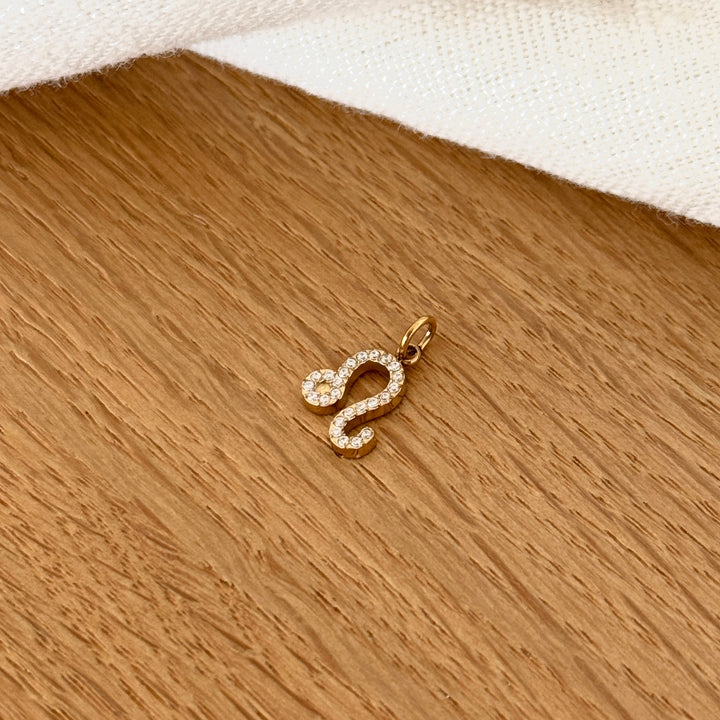 Charms "Signes astrologiques" acier