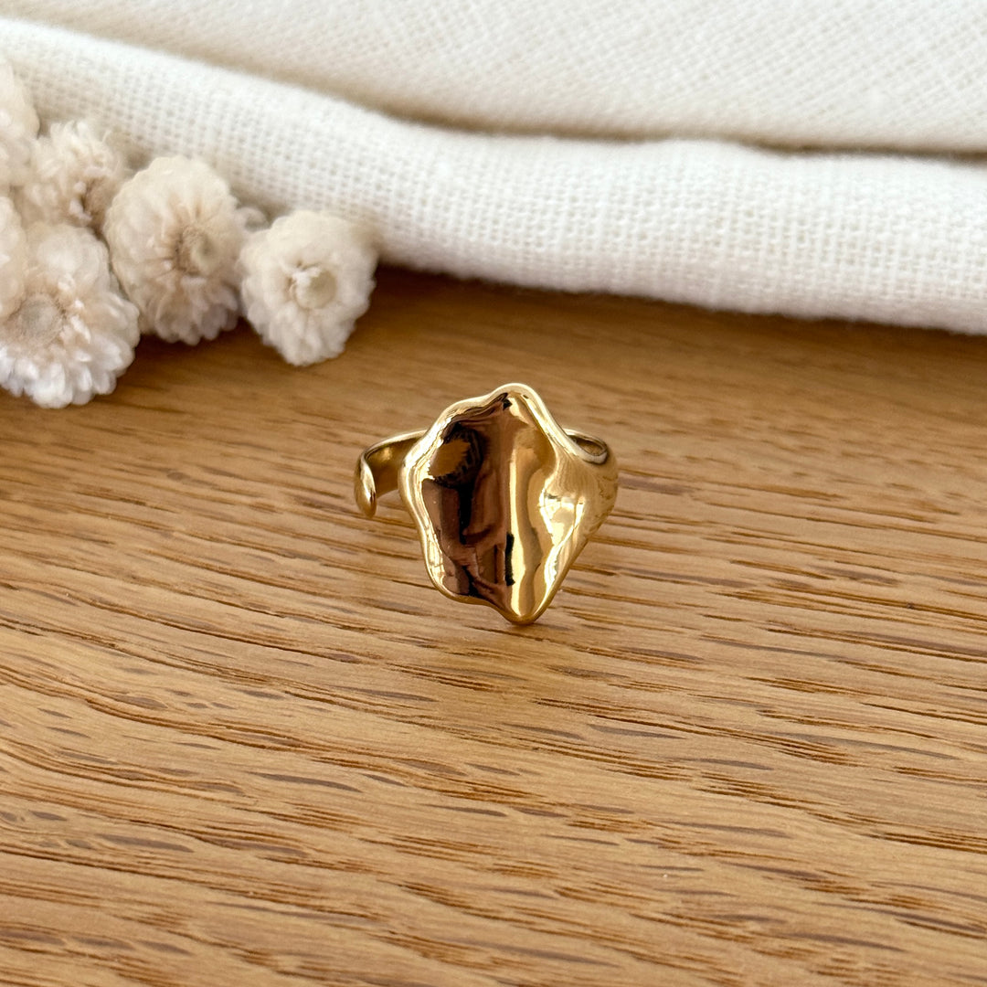 Bague "Cherinne" acier