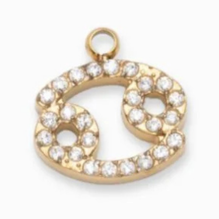 Charms "Signes astrologiques" acier