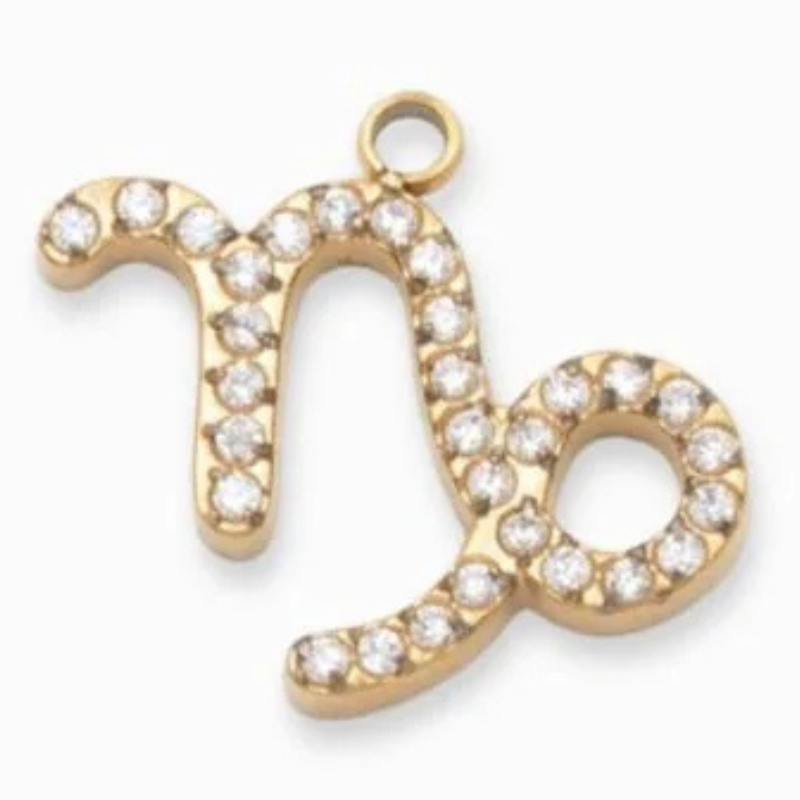 Charms "Signes astrologiques" acier