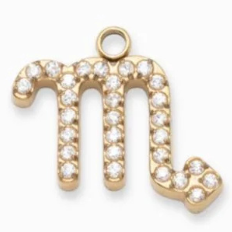 Charms "Signes astrologiques" acier