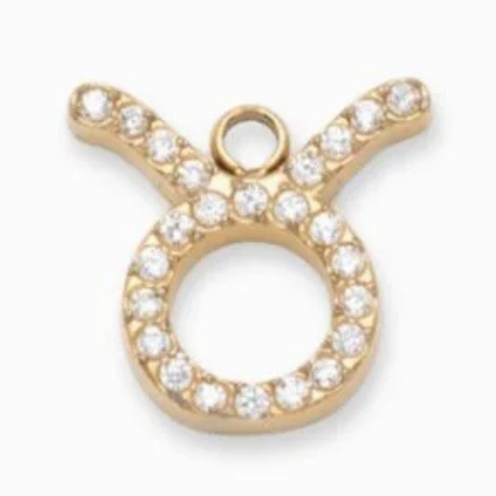 Charms "Signes astrologiques" acier