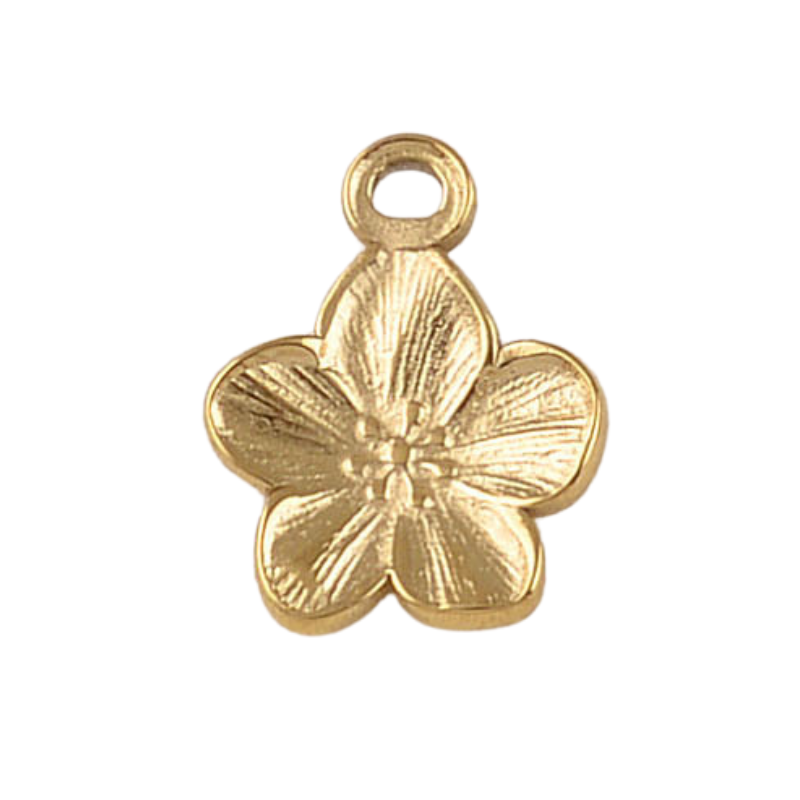 Charms divers acier